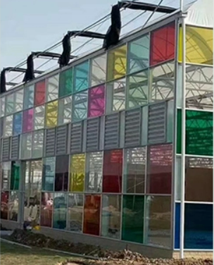 Colored Polycarbonate for wall
