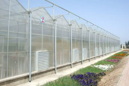 Multiwall Polycarbonate Sheet for Greenhouse