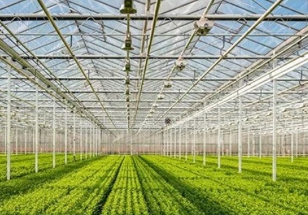 Corrugated polycarbonate sheet for greenhouse